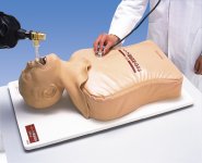 Mannequin d'intubation